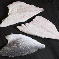 filet orade fratello trade