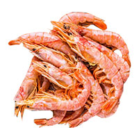 kozice fratello trade