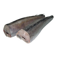 oslic fratello trade