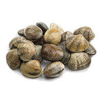 vongole fratello trade