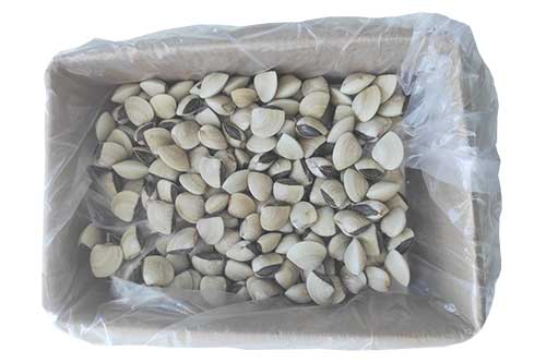 vongole-fratello-trade-1 vongole fratello trade